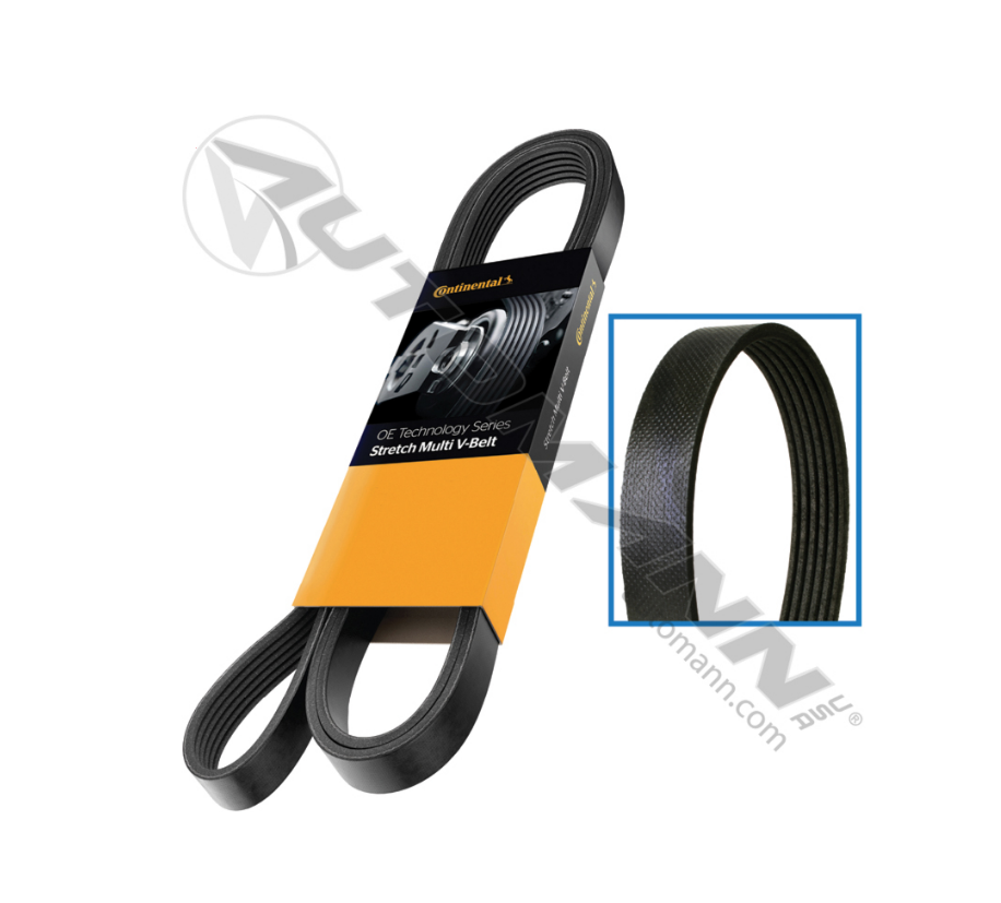 815.4060610 - Continental Multi V-Belt OE Technology ( 2585504C1, 4060610)