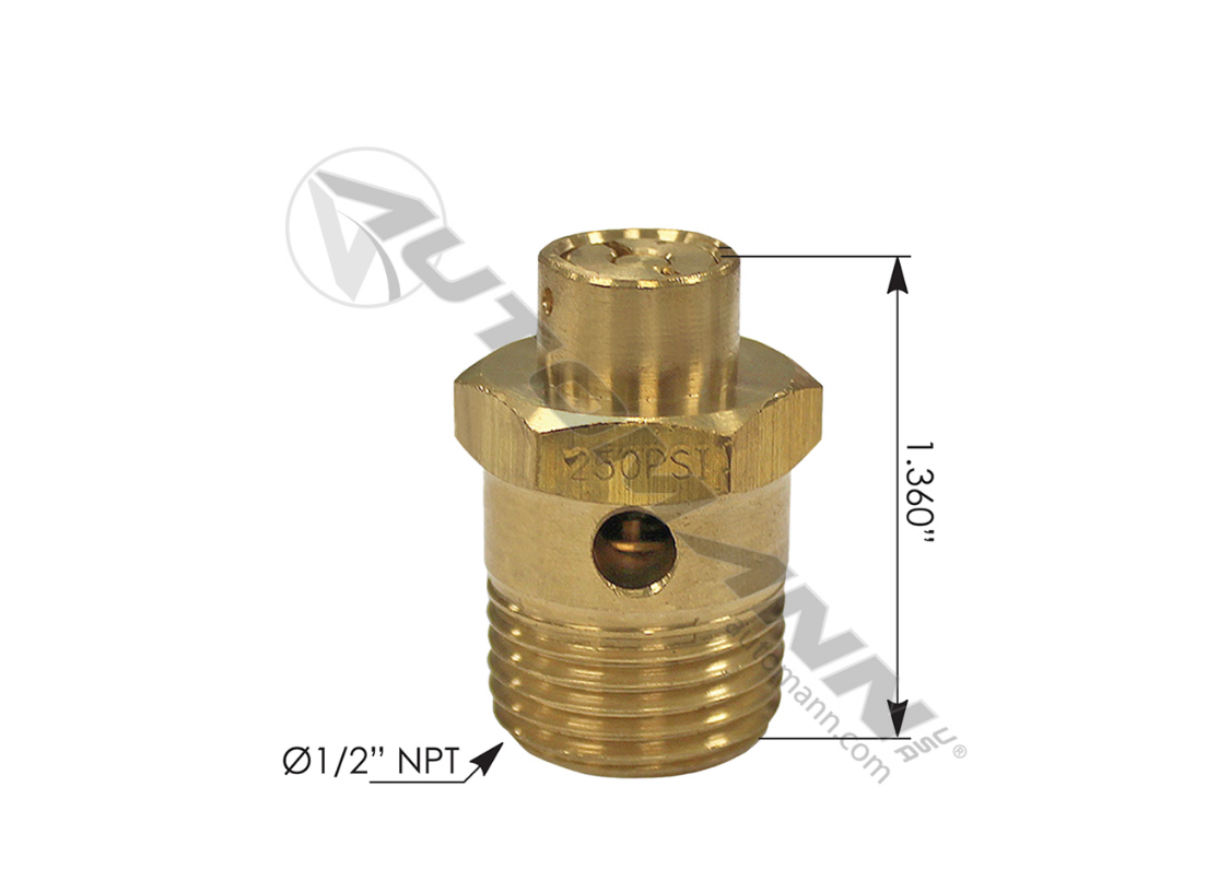 170.131081 - ST4 Type Safety Valve 250 PSI ( R955131081N)
