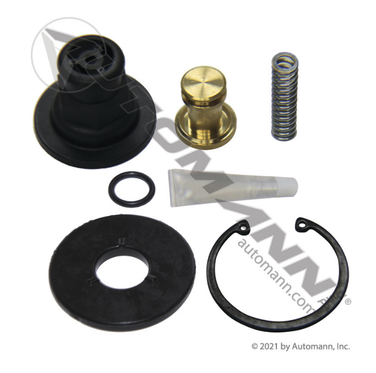 170.109995 - ADSP Type Purge Valve Kit, Ref. # 109995, R955109995N