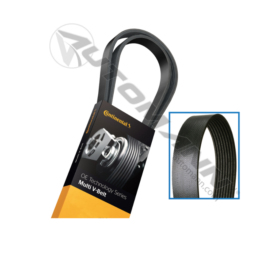 815.4081005 - Continental V Serpentine Belt OE Tech